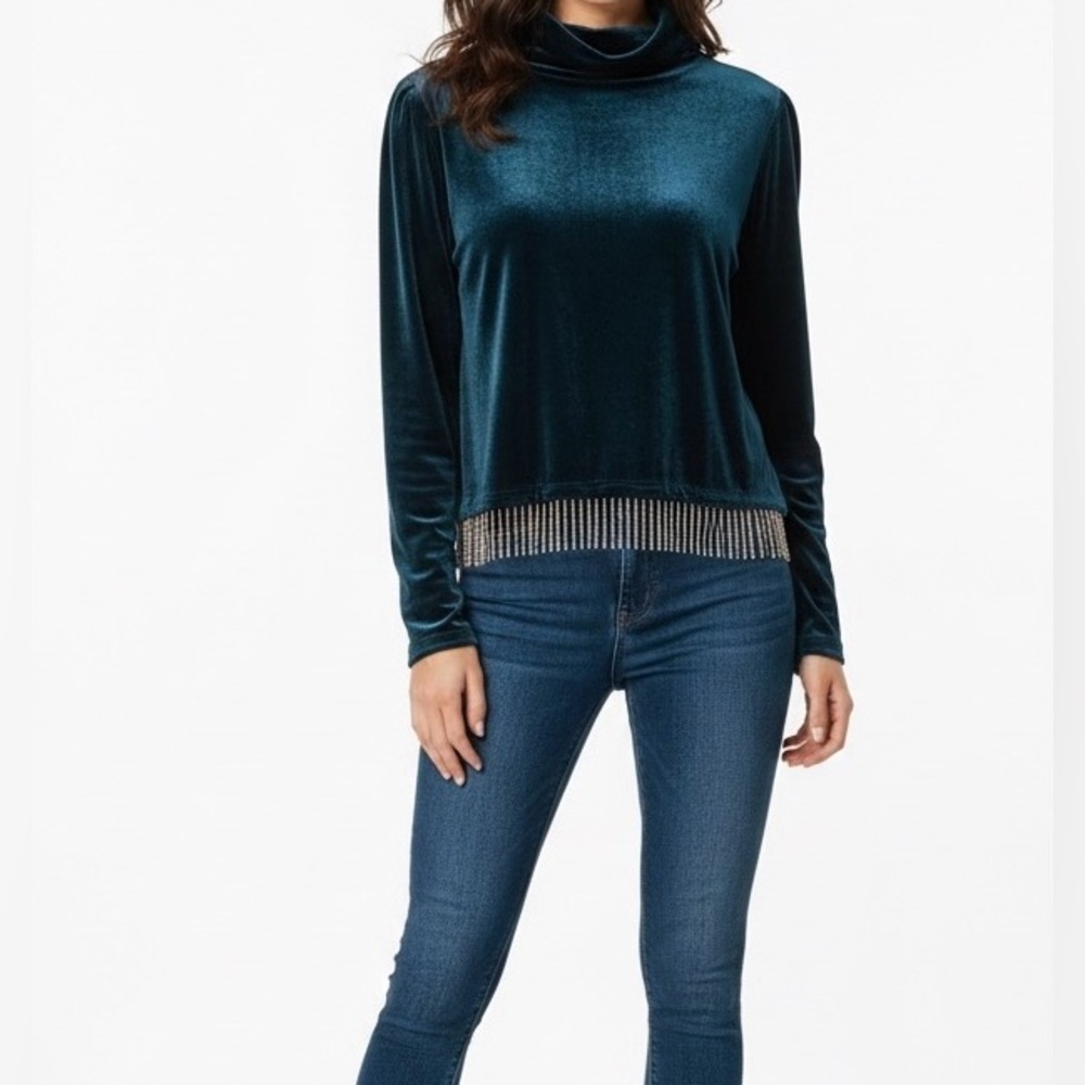 JOIE Women's Velvet Mock Neck Long Sleeve Rhinestone Fringe Crop Top